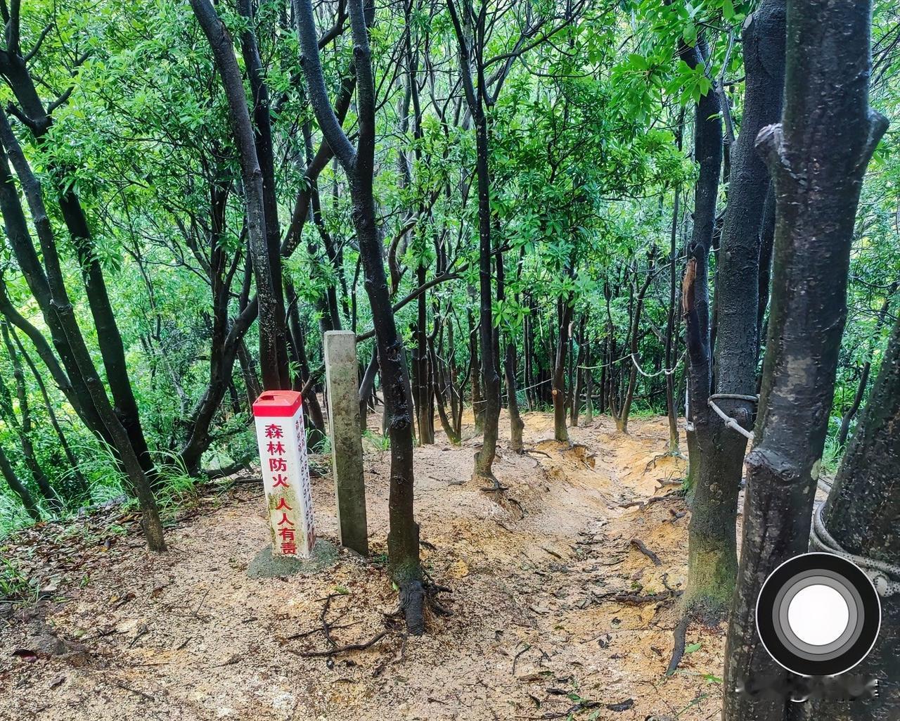（1311）：今早28摄氏度，小雨时停时下，空气潮湿，蚊虫很多。妹妹被叮了好多红