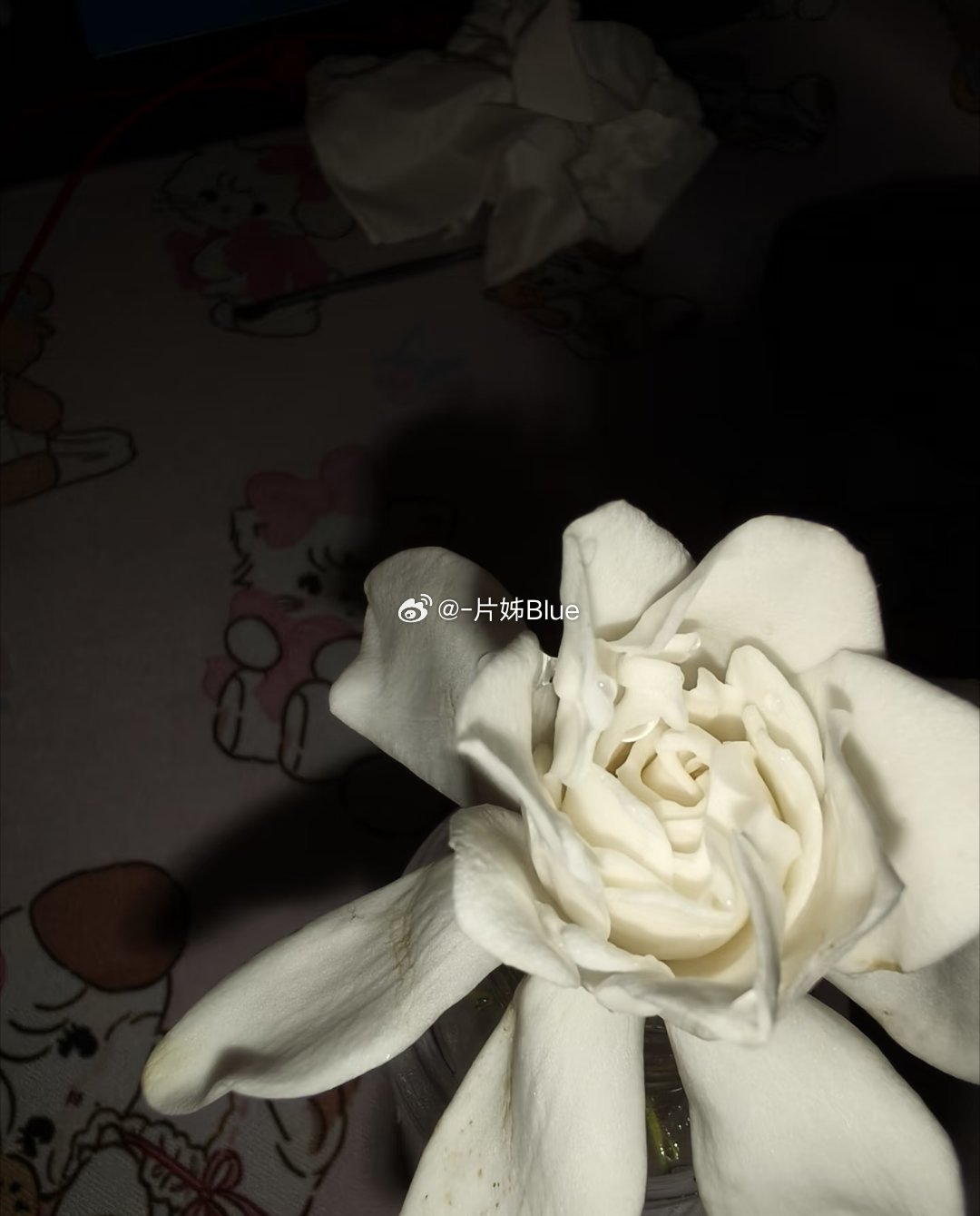 六年都没有消息的群突然的响了有种被直接击中心脏的错愕感潜水习惯了就害怕这种突如其