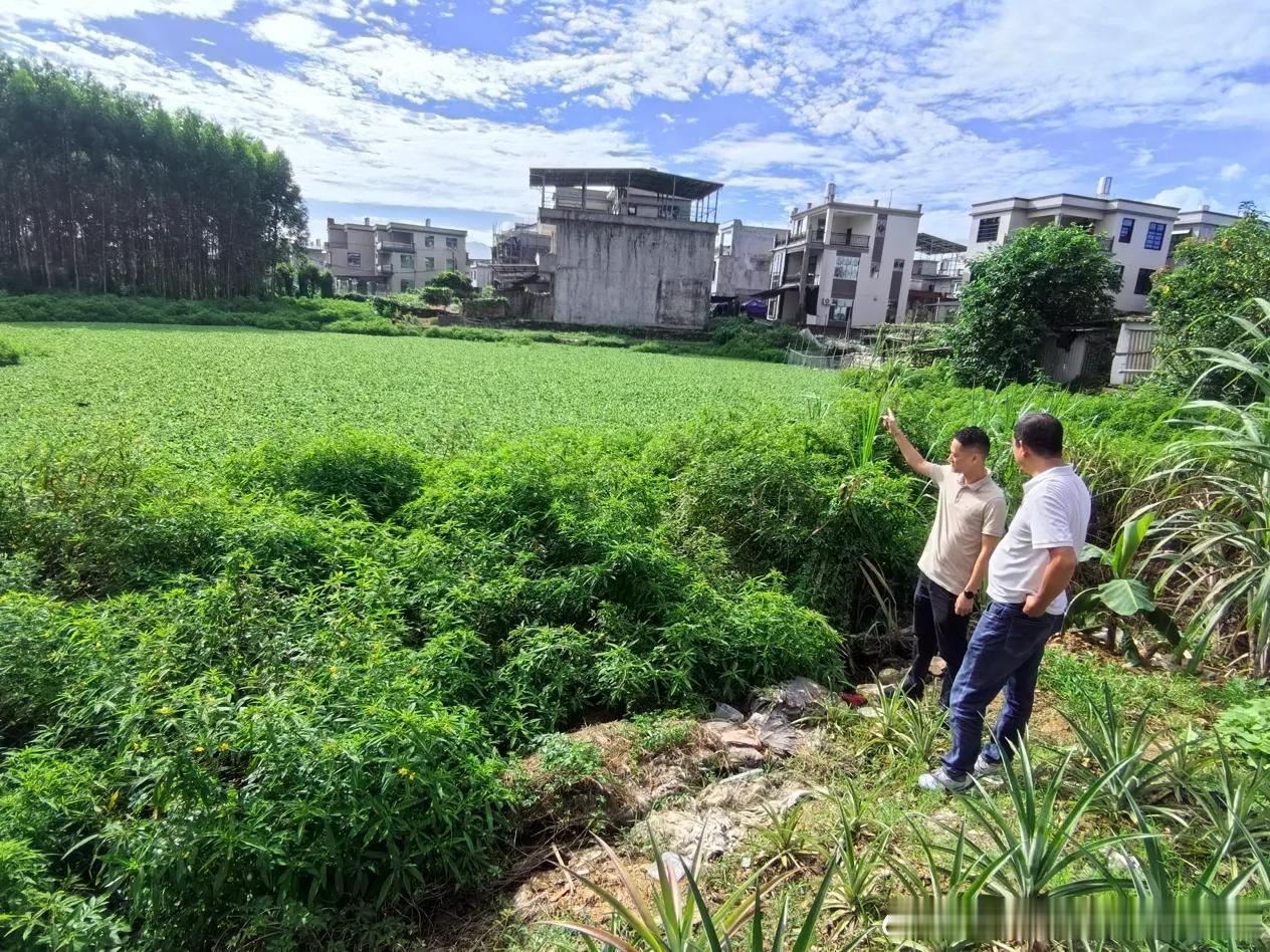 清新福建 7月25日，梅洲乡党委书记林志强前往梅南村实地调研人居环境整治提升和村