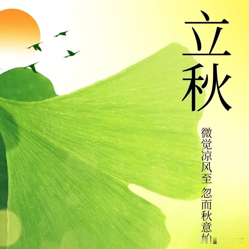 快立秋了！菜园赶紧收拾3件事，秋菜一茬接一茬，一直吃到霜降
 


好多老乡种菜