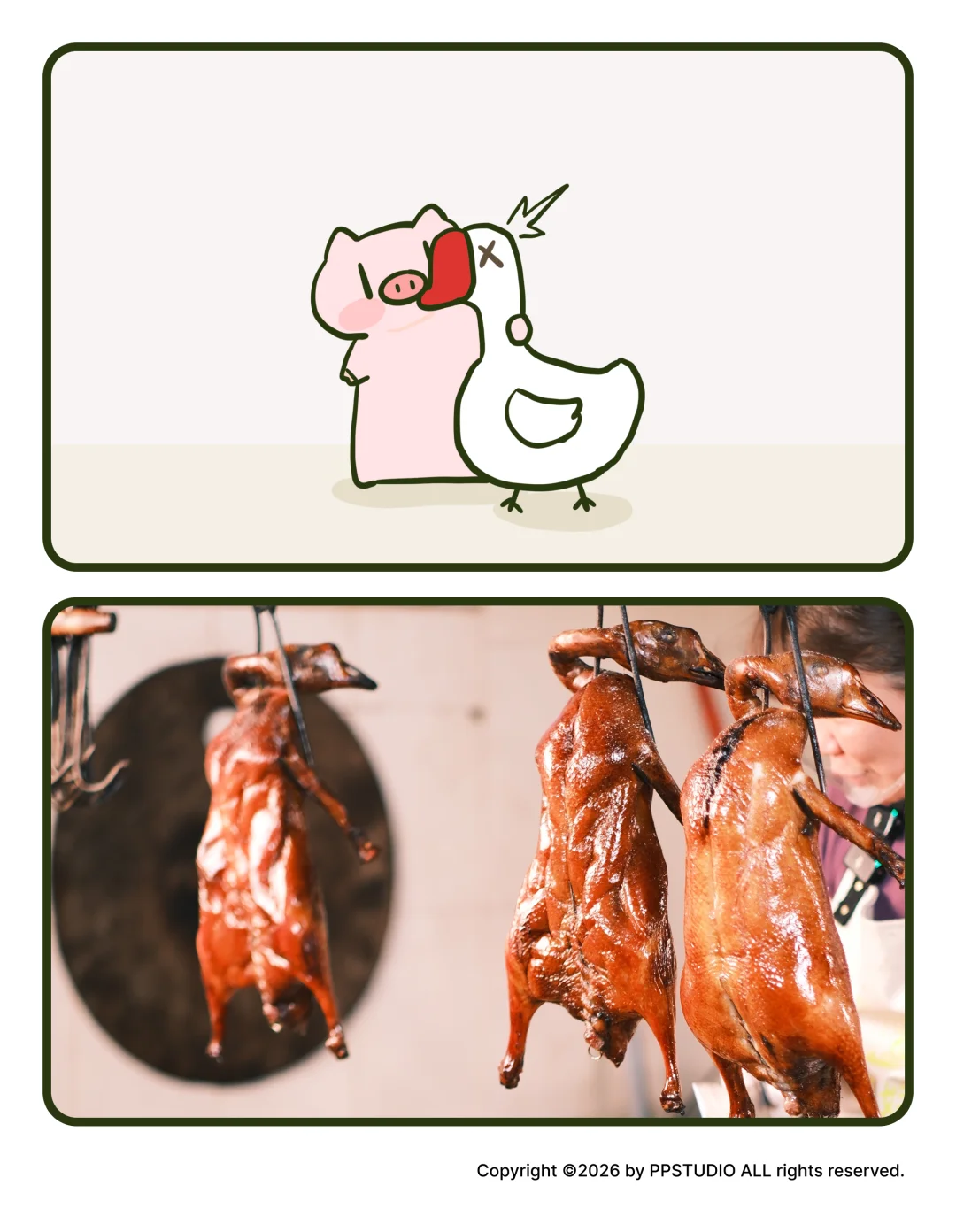 家里有个喜欢次烧鹅的猪猪