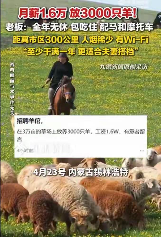 4月23日，内蒙古锡林浩特的蒙原淳品左老板向新闻介绍，工作地点位于内蒙古牧区，牧