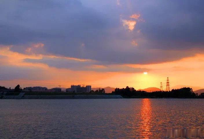 静音键·默斋主人原创自由诗不必执意剖开果壳去辩白内里的坦荡隔阂早已悄然滋生群页之