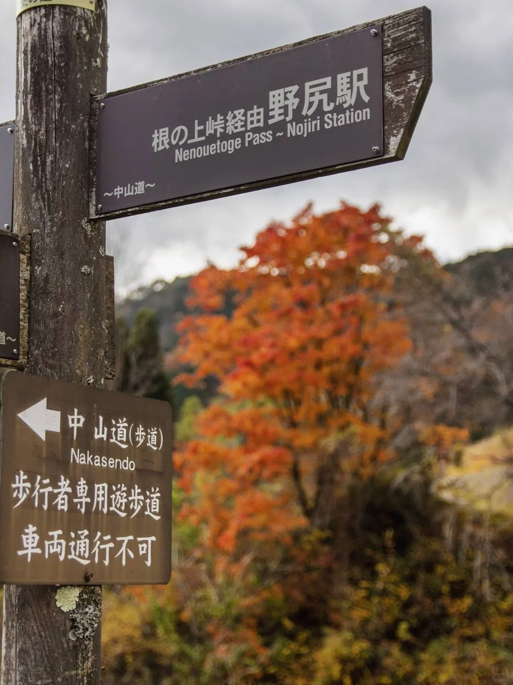 迄今为止，我最喜欢的两条🍁枫叶徒步路线