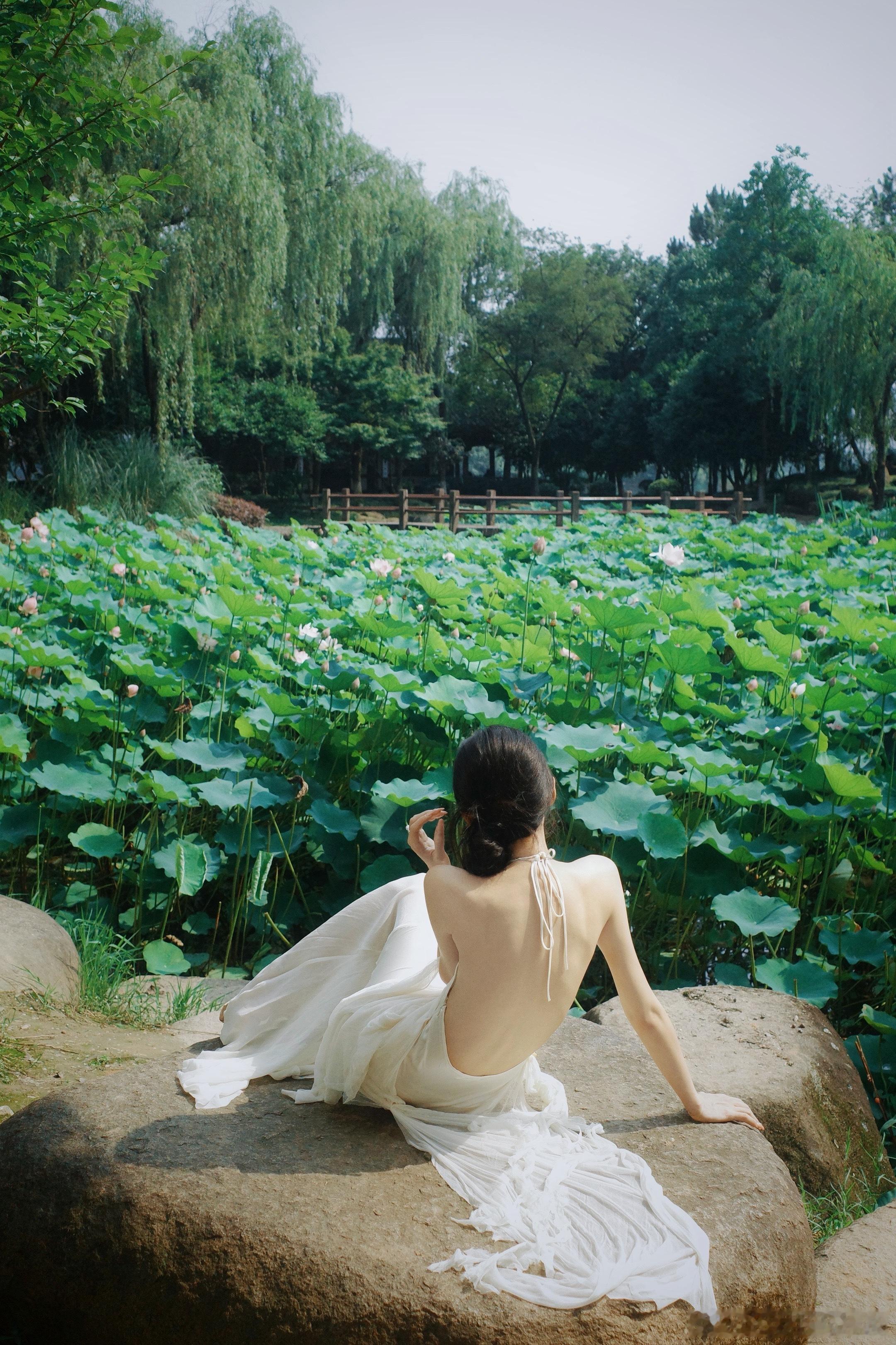 菏 