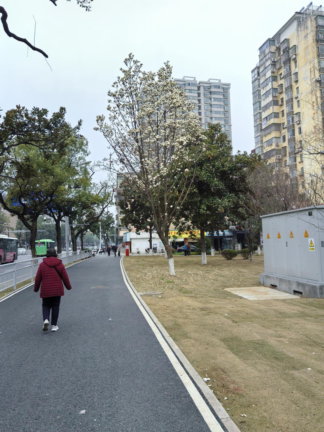 AI漫剧未来发展前景一片光明，是内容工业化与IP生态化融合的大势所趋。
从技术上