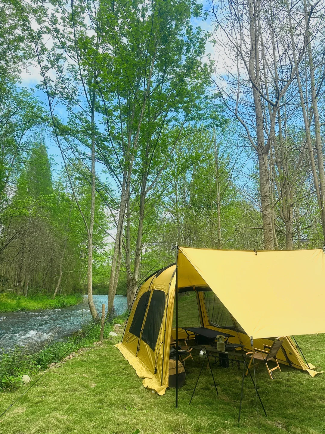 live拍春天🍃|小溪边只有我们🏕️太舒服了