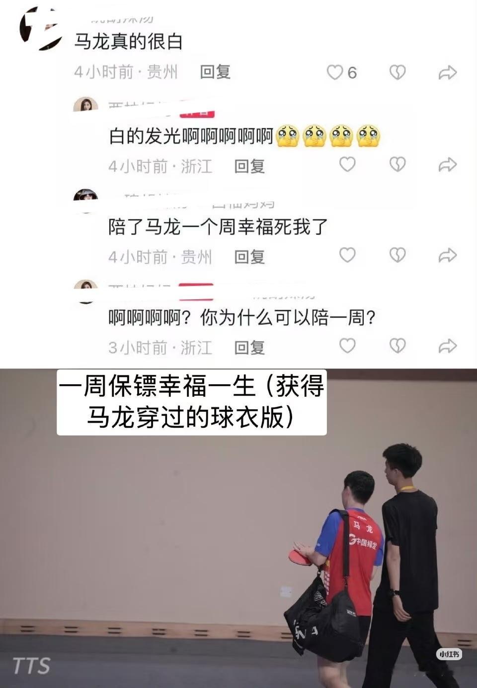 小神仙，小白龙，白天鹅马龙可真白啊鞍山小马