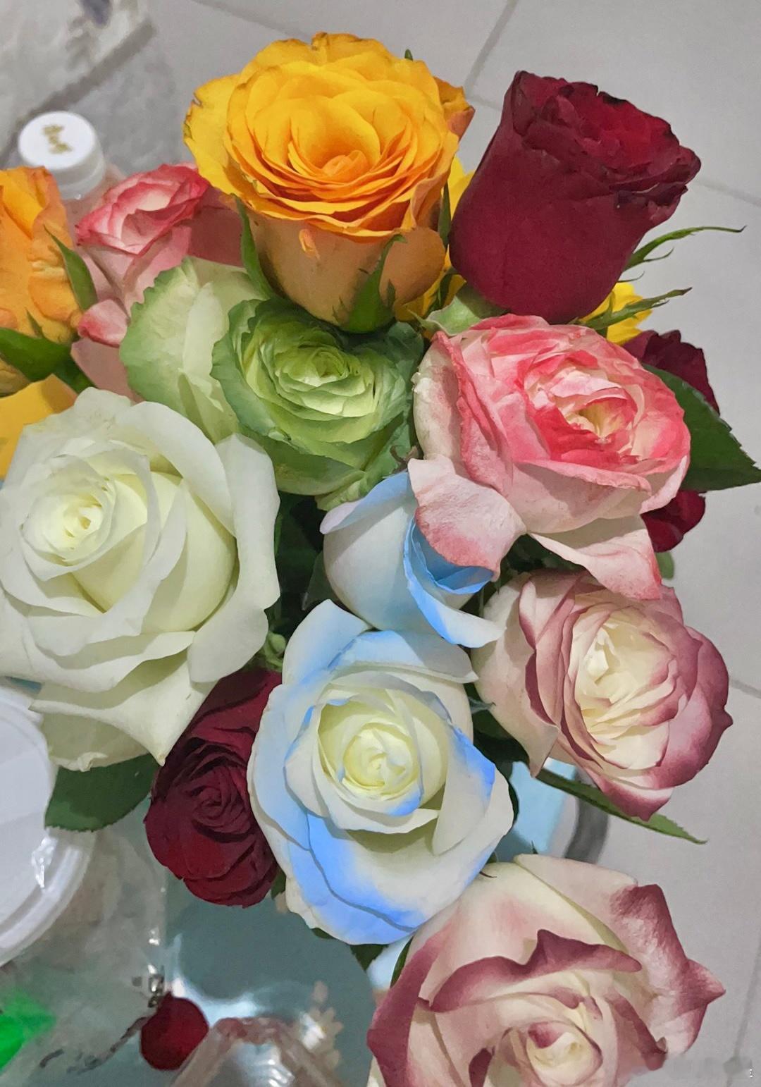 pick你心中的改编潜力王微博年度待改编IP评选每天，我都花至少一个小时做我真正