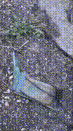 钓鱼钓出“两年前的手机”，失主：不可思议
长沙一小伙河边钓鱼，竟意外钓上来个防水