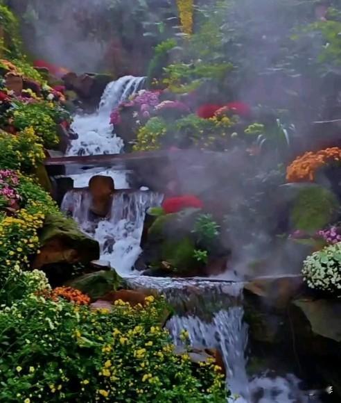 折桂令.翠屏山赏秋菊

作者:墨琴

绽金英、瘦影凝霜。清馥牵诗，雁字横苍。历尽