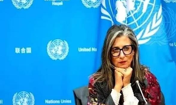 联合国里，终于来了个狠人。
一个叫阿尔巴内塞的女人，当着全世界的面，把一份报告直