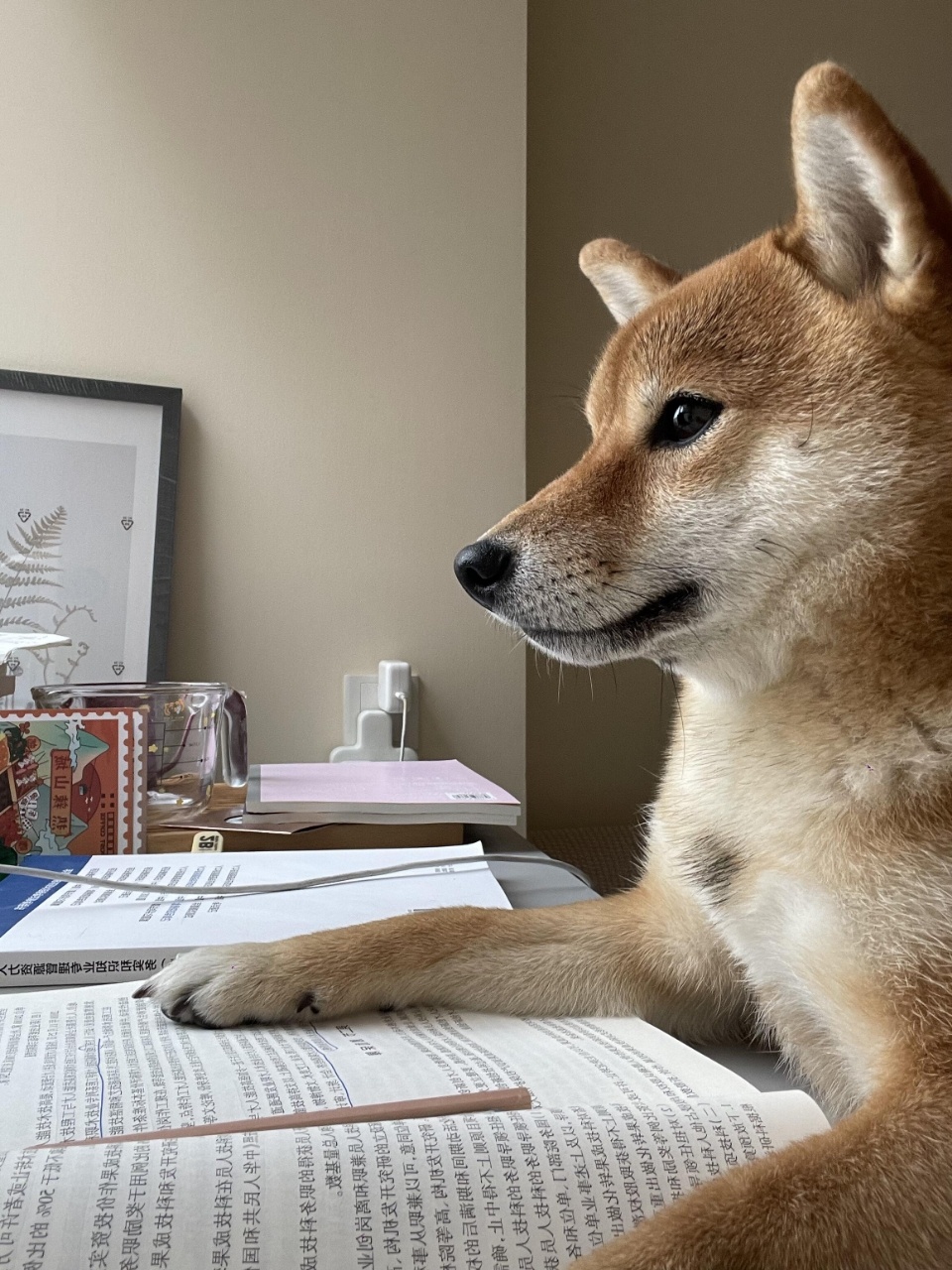 我开会时听领导讲话的样子职场那些事职场生存法则 ​​​