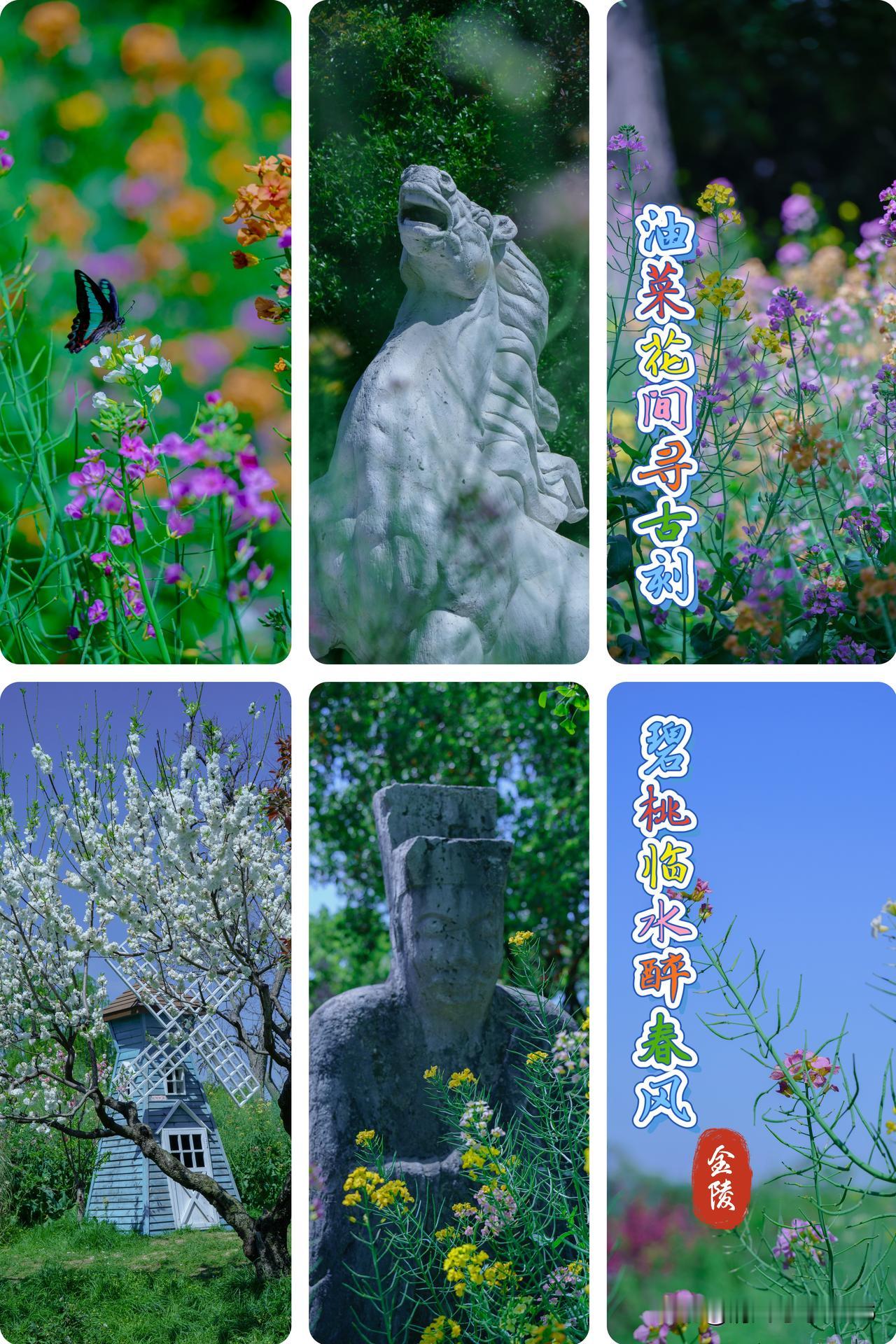 油菜花间寻古刻 碧桃临水醉春风

        专程奔赴白马公园，只为赴一场与