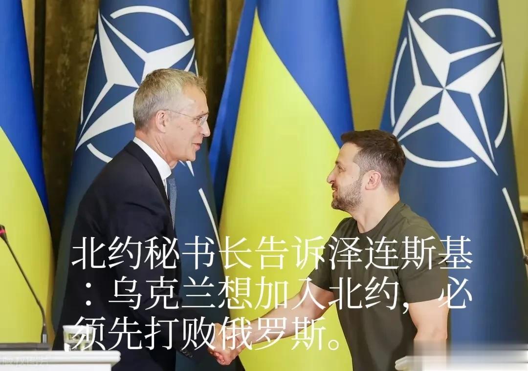 以加入欧盟和北约为诱饵，美西方不断唆使乌克兰亲美仇俄，挑战俄罗斯的国家尊严。如今
