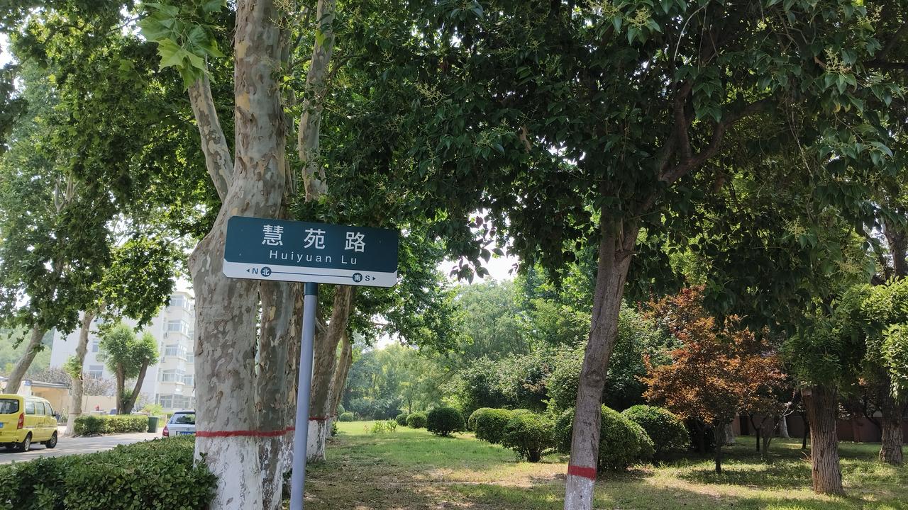 林荫大道：骑行者的天堂

在聊城大学校园里骑车，最享受的就是这条两旁种满高大梧桐