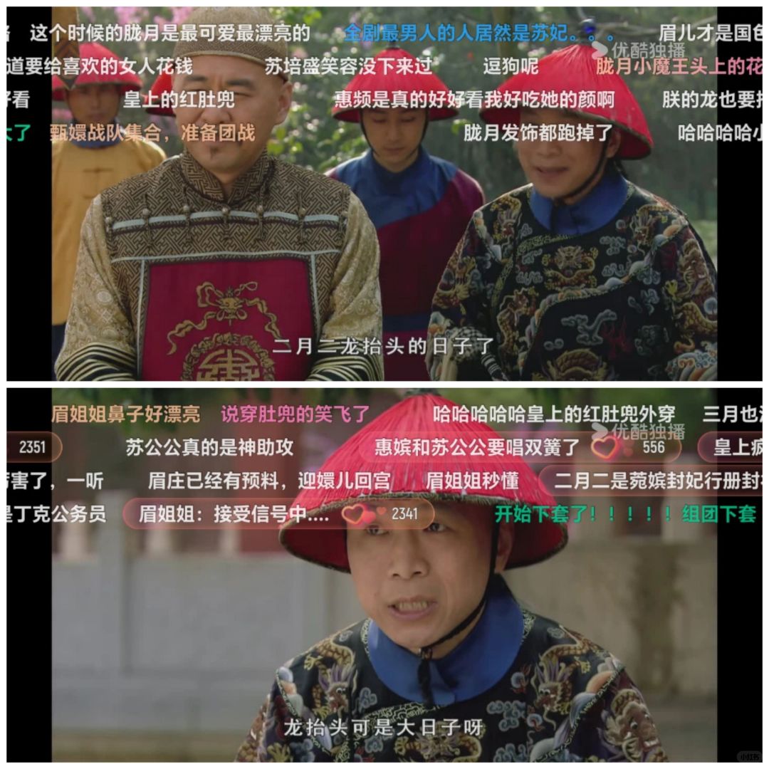 今天是大胖橘给果子狸孩子上户口的日子！
