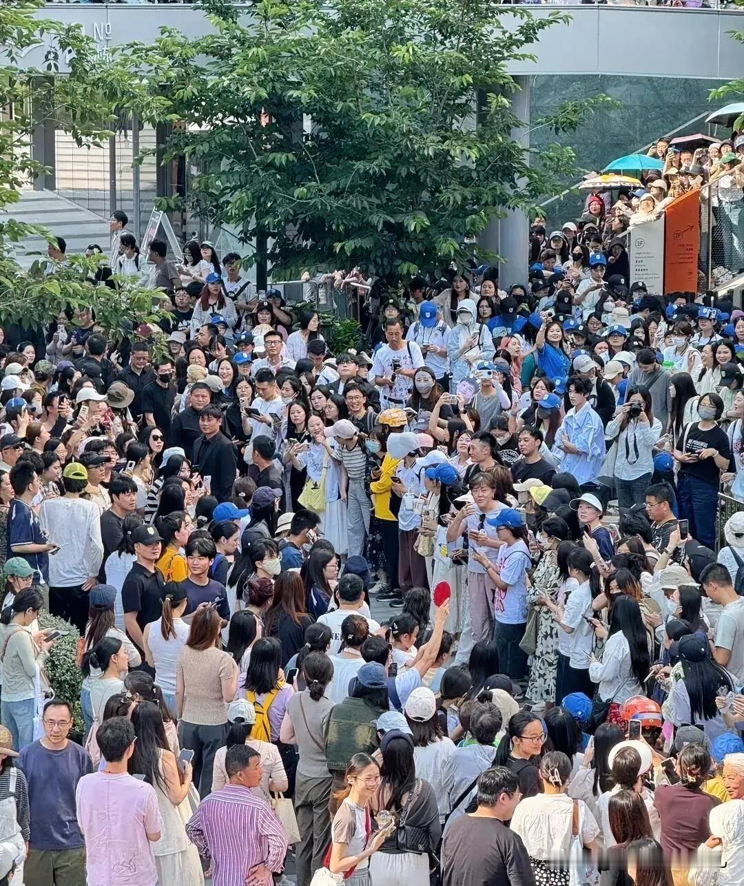 6月13日，樊振东现身线下活动。这是他在德甲赛季封神、外交部点赞之后，第一次在国