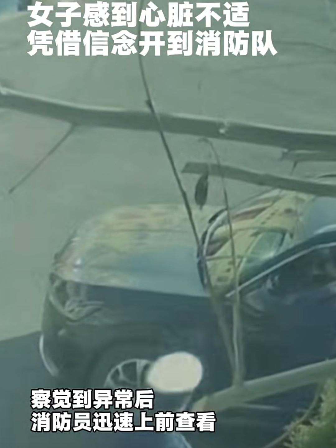 辽宁大连的街头，一场与死神的赛跑，在一辆私家车冲向消防队的瞬间，拉开了序幕。
 