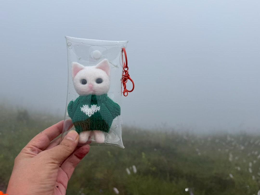 张家口大黑峰打卡上山的时候下了一会儿暴雨，下山剩两公里的时候盆泼大雨，穿着雨衣也