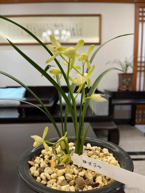“捡3棵草判刑3年！”山东烟台，女服务员收拾客房时，发现旅客遗留的3棵小草，觉得