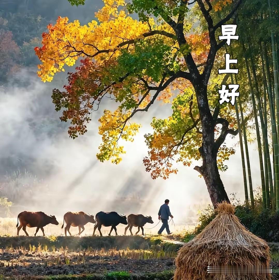 友谊；
从一个缘字开始，凭一个信字延续。
用一个敬字升华，靠一个诚字长久。
真情