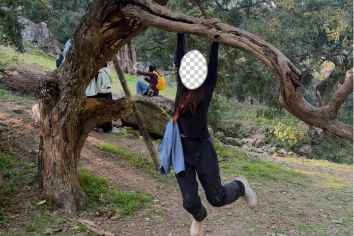 别为了你的美照攀爬踩踏古树 ！诸暨走马岗千年榧林发出紧急呼吁