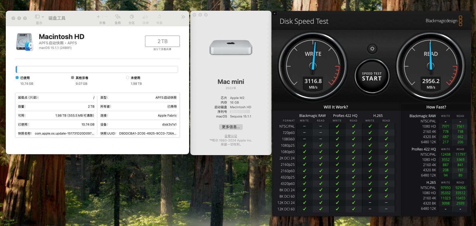 Mac Mini M2 + Mac Mini M4 扩容2T看起来市场上的消费者