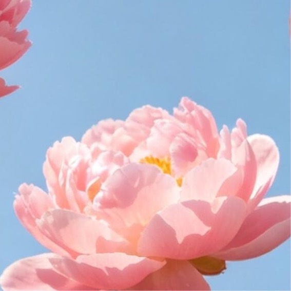 森林驿站  💫阳光信用  💫森林驿站 虽然诚信看不见、摸不着，但它体现了一个