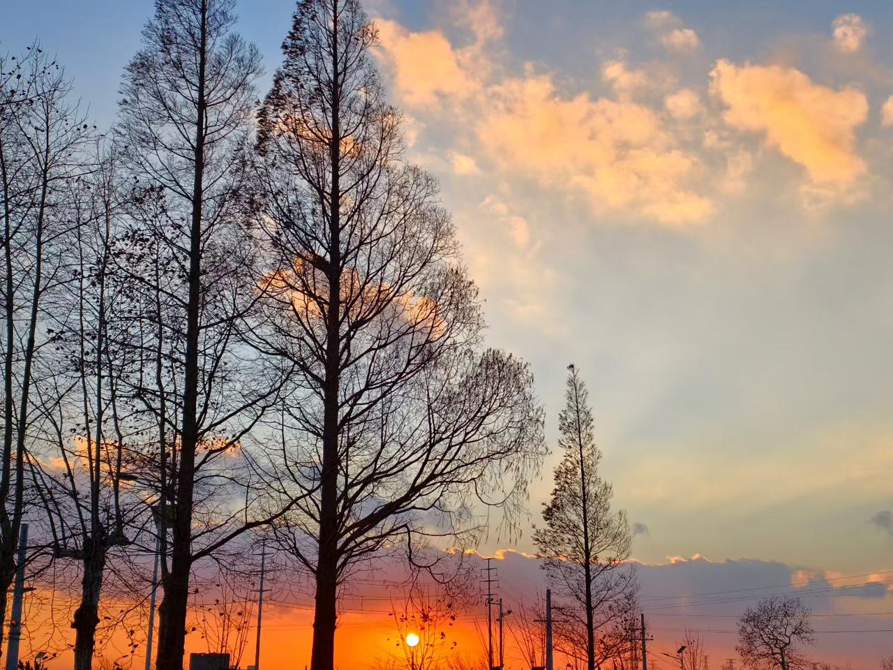 大家发现没：基层公务员好像成了凤凰男的重灾区。

朋友是做专业婚介的。她说：基层