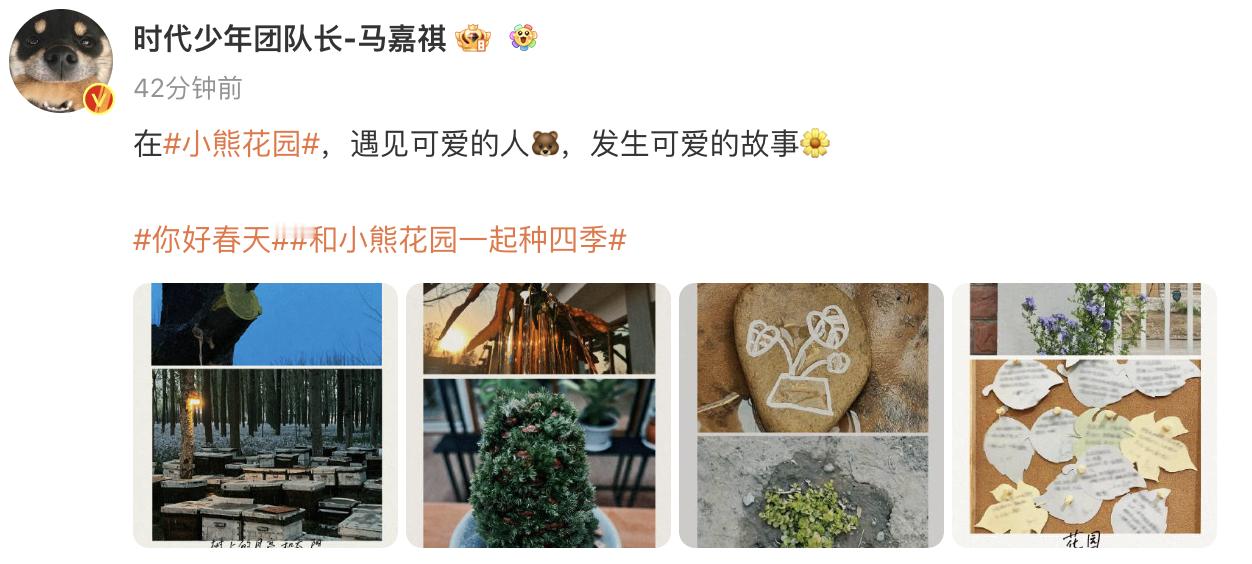 #马嘉祺晒了小熊花园的花草树木#  发 博 晒 出#小熊花园#plog，四 张 