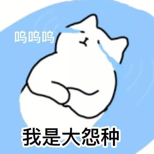 今天中午点的牛肉粉把我吃哭了。
史上最最难吃的牛肉粉。
粉烂不劲道，
只有一个味
