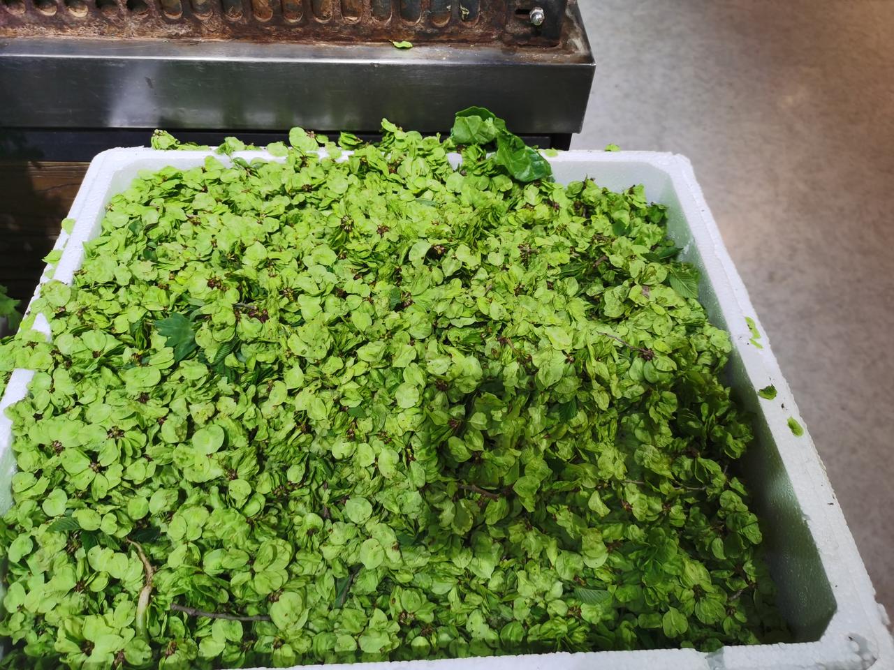 看看郑州今天的菜价
今天去刘先生超市买菜，
菜价一天一个价，蒜苔子昨天3元3毛一