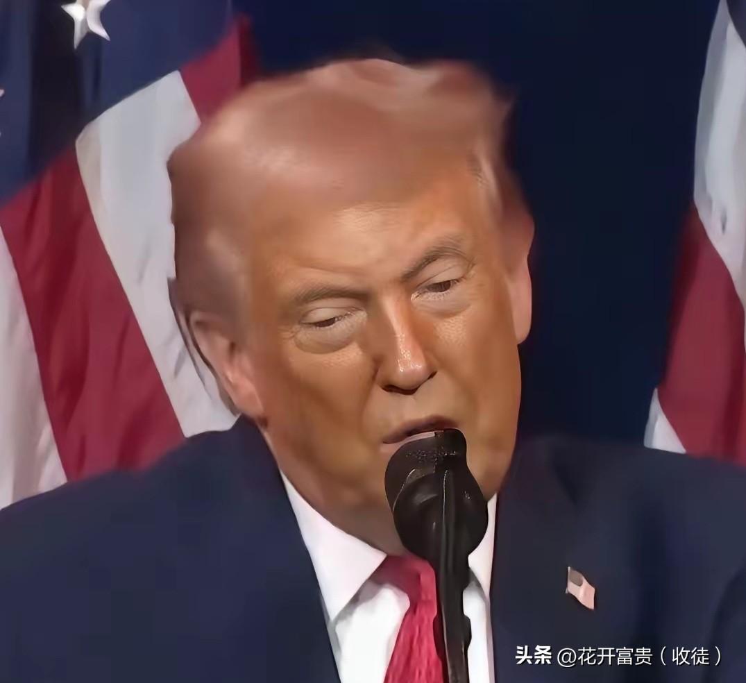 炸锅了，特朗普重磅官宣：美国永远不允许第三世界国家移民入境，全球移民格局发生变化