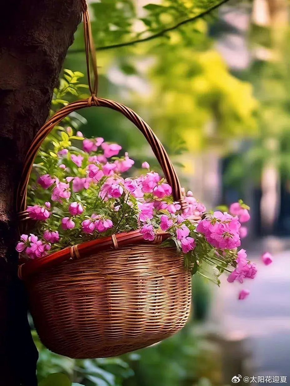 晚安  山坡上的野蔷薇，春天冒芽，夏天抽枝，秋天结籽，冬天落叶。它从不说“我要快