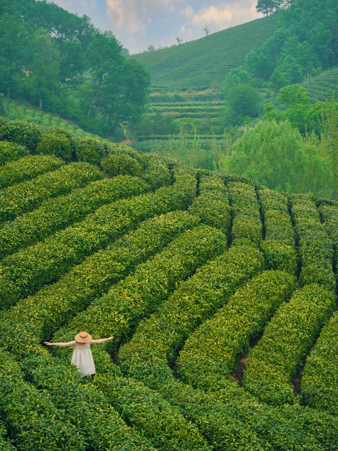 武汉40min上茶山🍃发现冷门小众的绿色秘境…