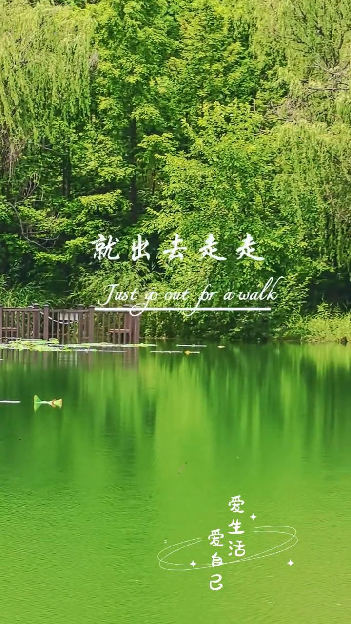 生活需要放松，心灵需要自愈。如果有一天你累了，就出去走走，看看青山绿水，看看大自