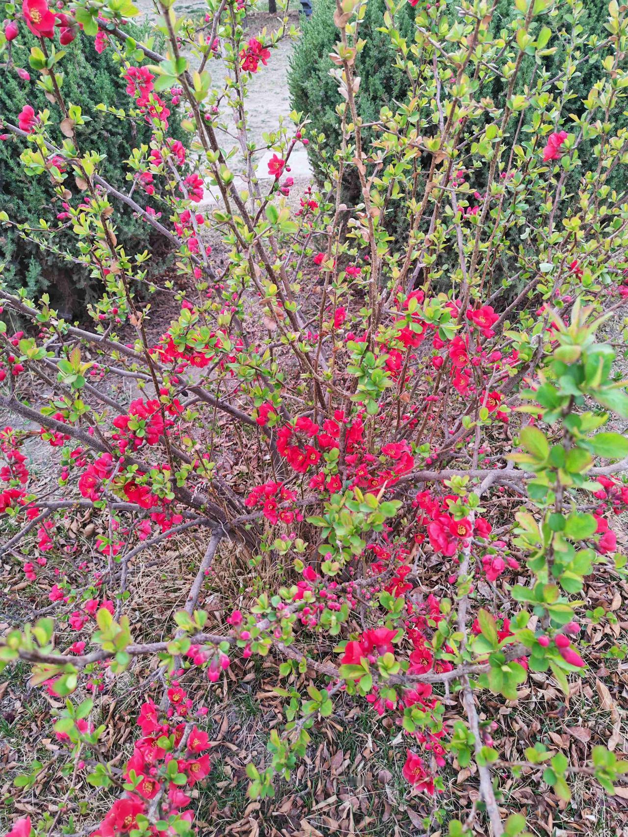 我的今日状态：💪🏻充满干劲
我这里的天气：☀️晴天