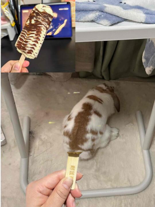 小兔棒冰 5块一支🍦