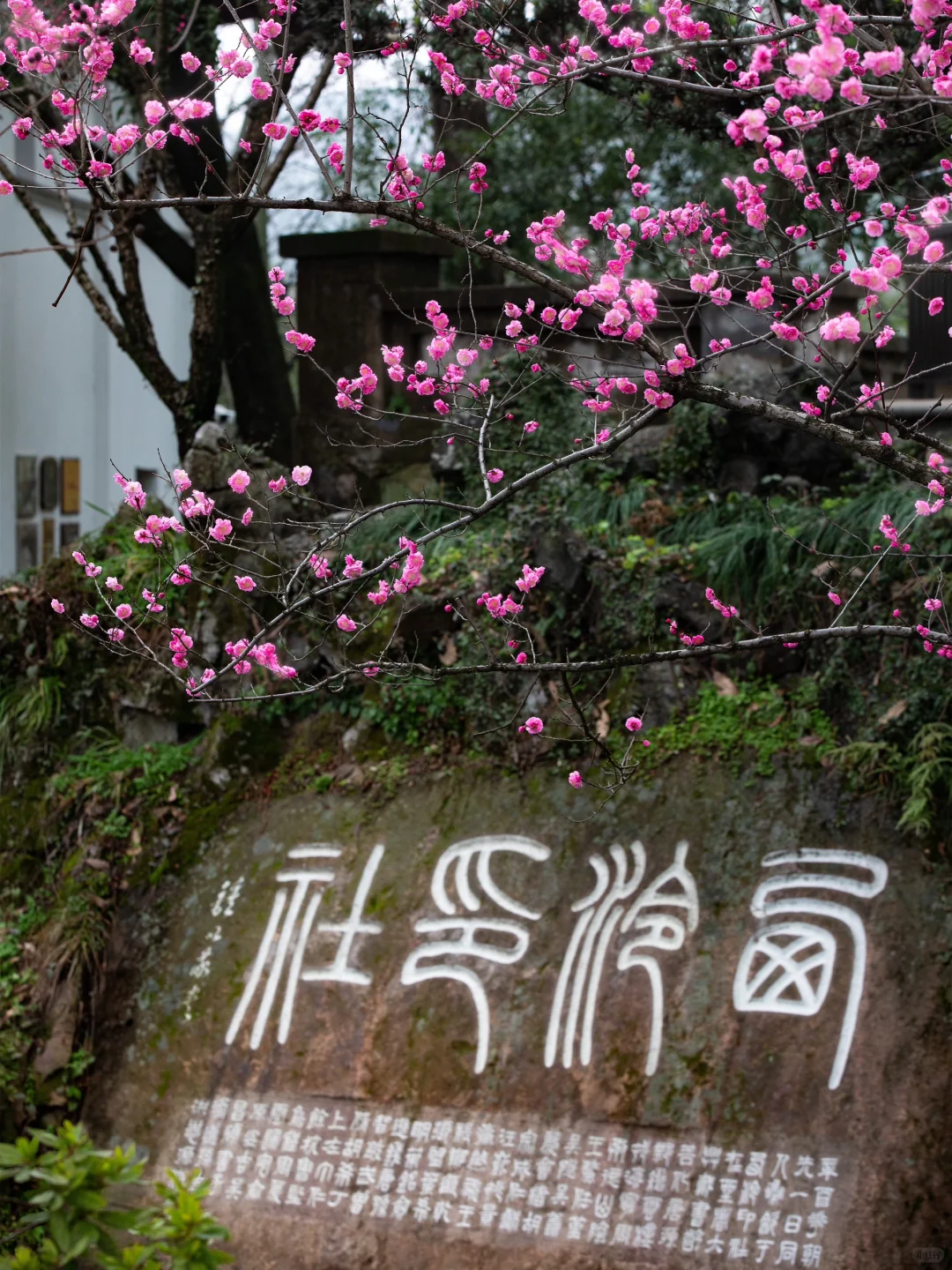 灵隐寺文化走读开启⑦北山拾遗 附报名通道❗️