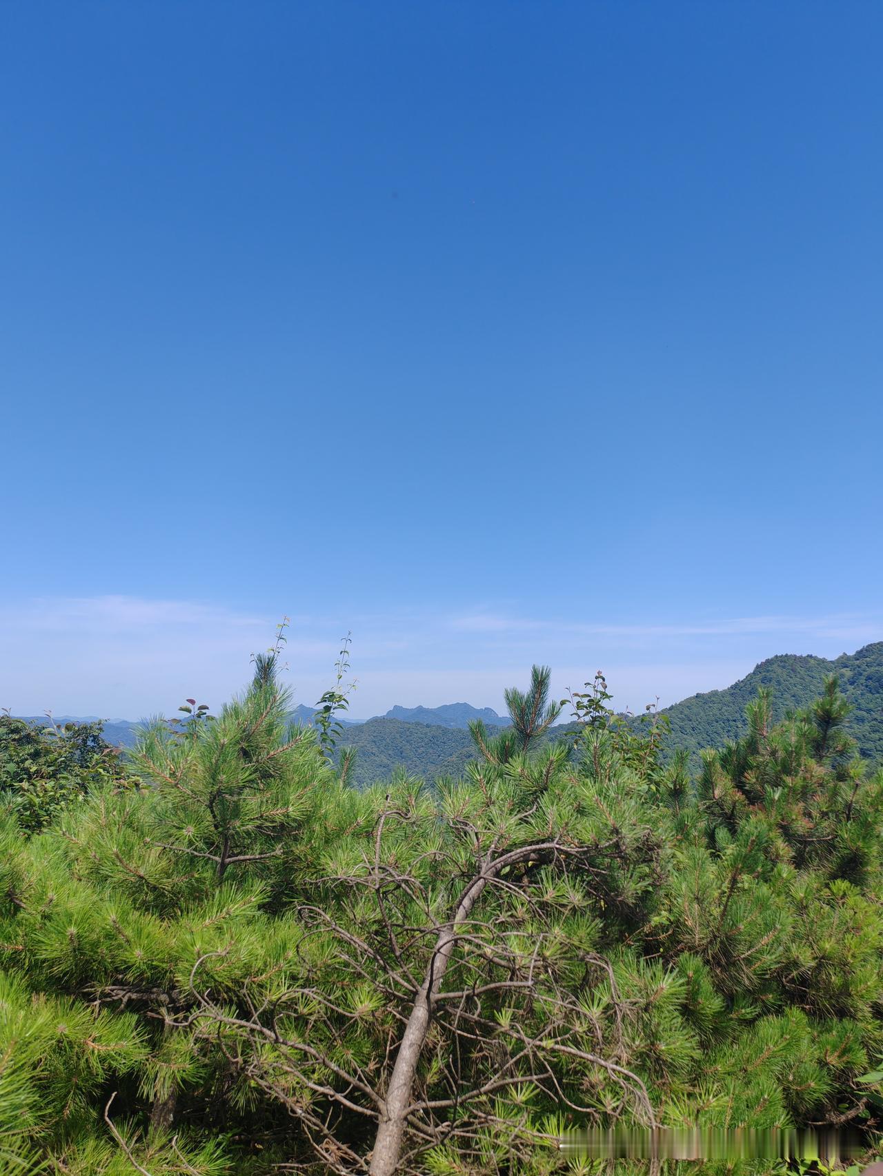 早上，哥哥打电话来了，又要叫我去拿菜。

我说，我在太白还没有回去，要是回去了给