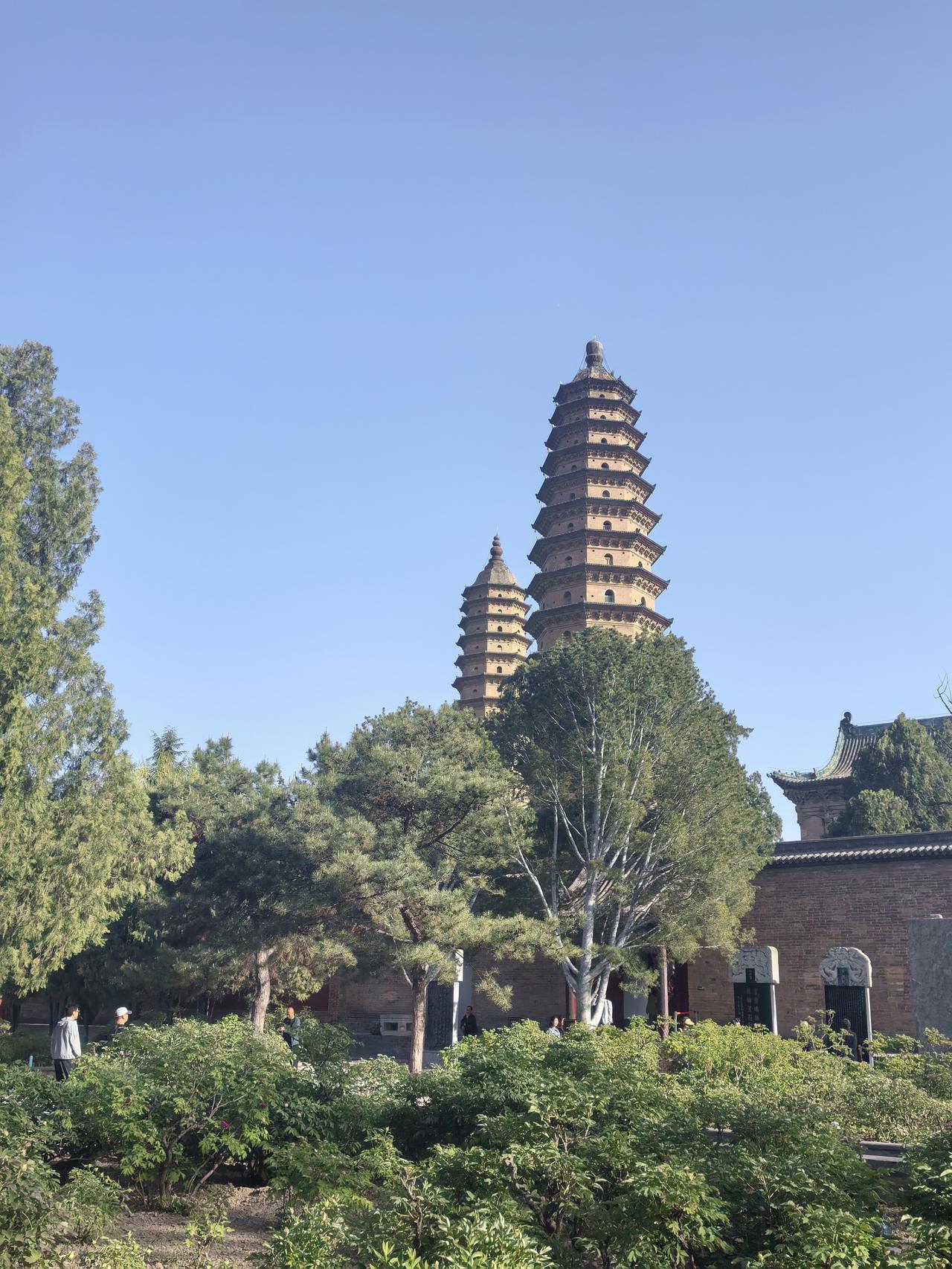 今天下午，我来到双塔公园永祚寺，这里的牡丹竞相绽放，美不胜收。不少市民和游客前来