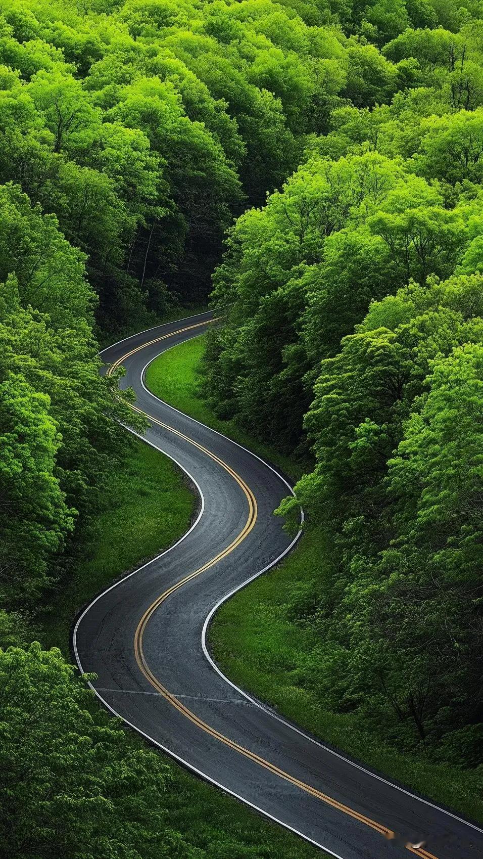 #沿途风景随拍##随手拍草原美景# #风光美景随手拍# #随手拍自然美景# #随