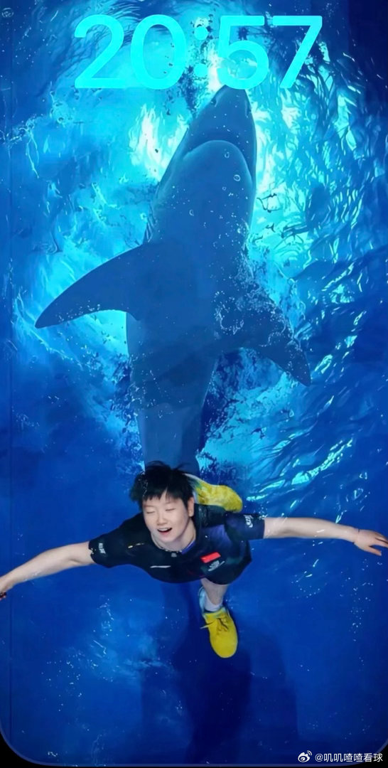 孙颖莎神图神图来了！世间最美最靓的宝！ 