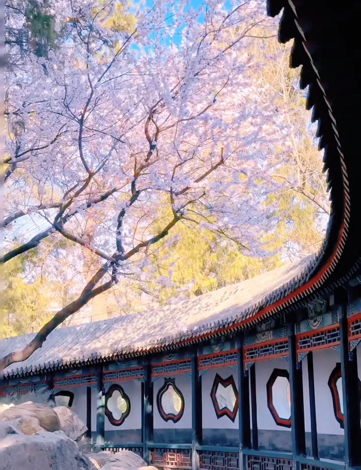 颐和园西堤桃花开好了没有沙尘暴的春季限定北京已经美到nextlevel了，这也太