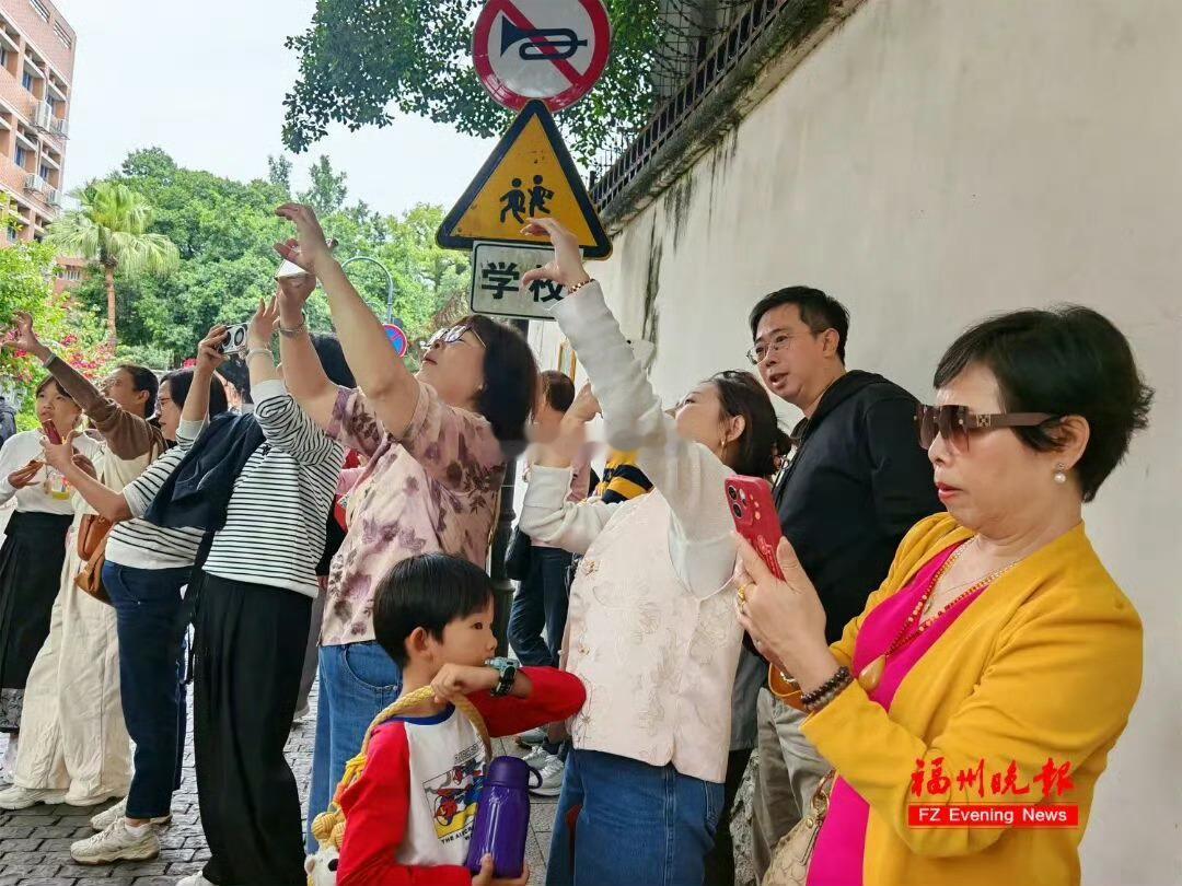 福州生活虎纠人讲福州胡州人讲福州  福州烟台山那棵百年香樟树成了游客争相打卡的“