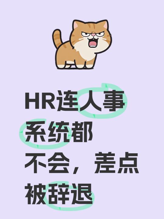 小HR连人事系统都不会，差点被辞退😨