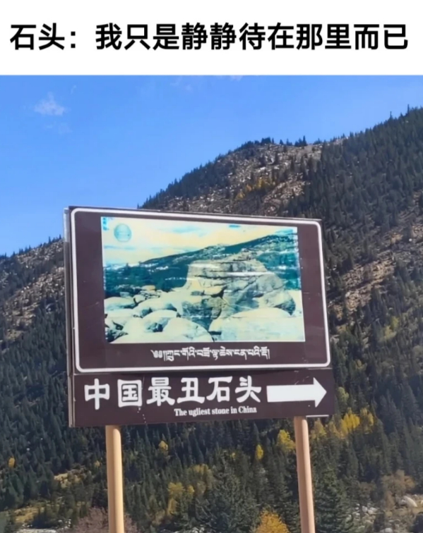 到底惹谁了 