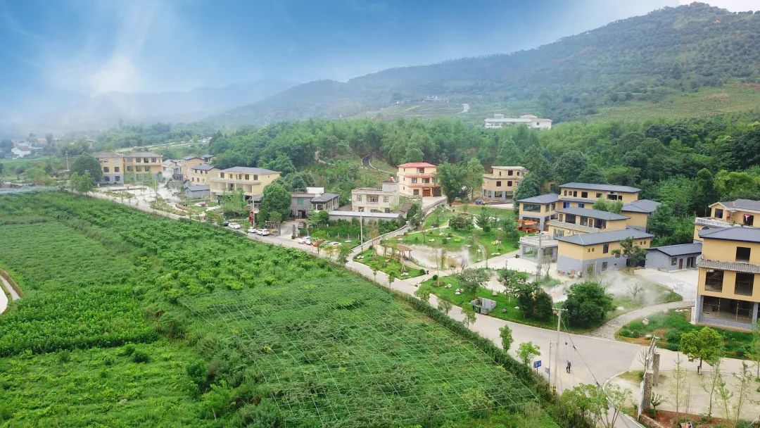 天府发布 天府新区最美林盘