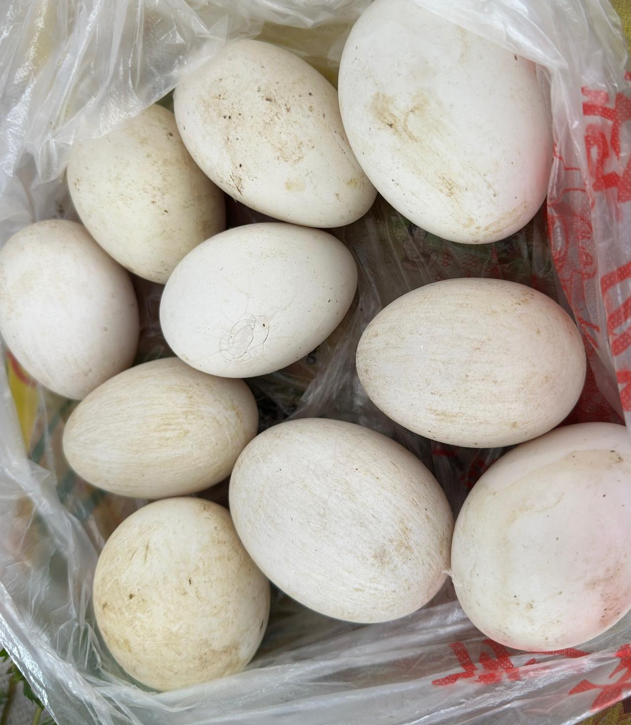 为了昨日才开始馋上的鹅蛋，今日上午的忙碌中，特意去了一趟附近的农贸市场。

功夫